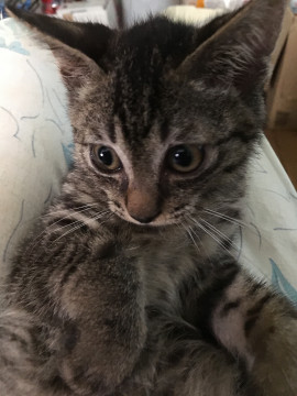 小さいのになかなかのワイルド感あり男の子