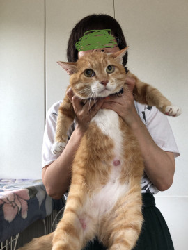 静かなチャー兄
