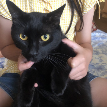 トライアルへ行きました