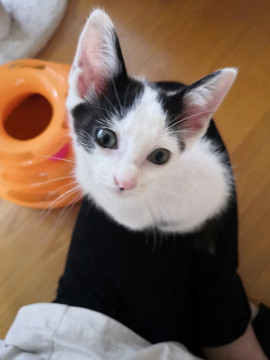 真ん中分けの男の子