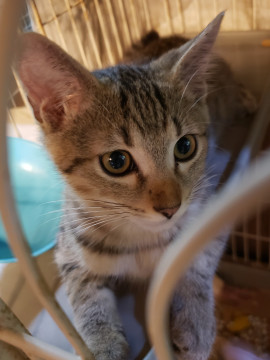 かわいいお顔の不思議系男子、5ヶ月