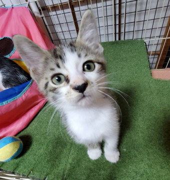 しょぼぼ～んなお顔がかわいいひなたくん♪