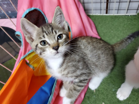 やんちゃなイケメンいぶきくん♪