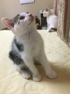 優しいモナちゃん