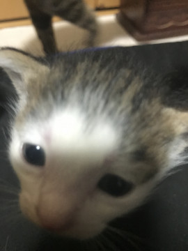 生後3週間位の赤ちゃん