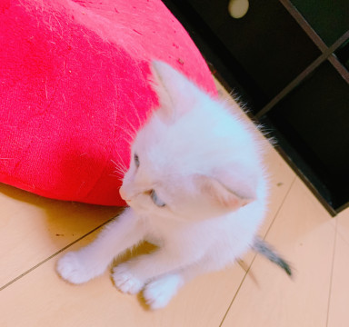 9月6日生まれ