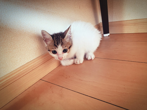 9月6日生まれ☆