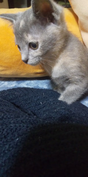 少しビビりだけど慣れるとグイグイきます