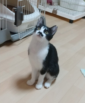 ビックリ顔のあまなつちゃん