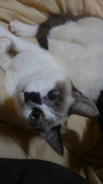 ５ヶ月♂