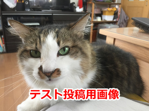 サーバー移設テストです2