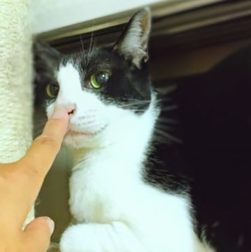 ★大柄の男子❤︎美脚をひけらかすほしくん