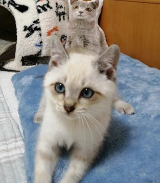 優しい里親ん・・・(一時停止します)