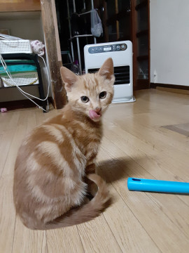 なにがあっても爆睡