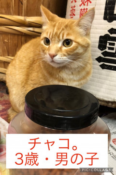 急募!助けてください!
