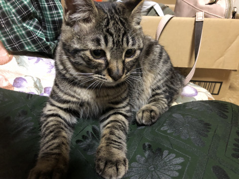 可愛がってくださる方