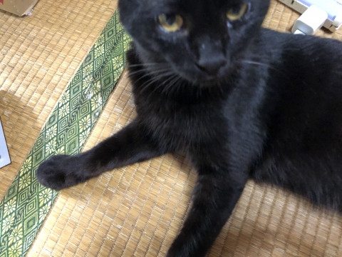 可愛がってくださる方
