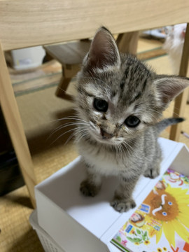 可愛いえむちゃん