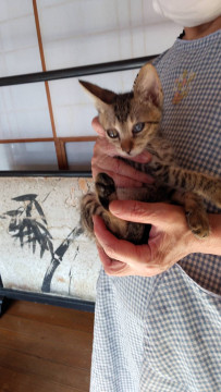 3ヶ月ちょっとの男の子