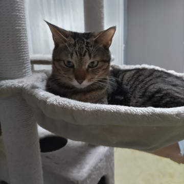 ひかえめ❣シュウちゃん