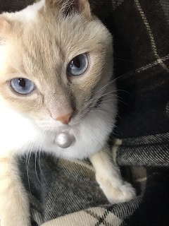 聖という素敵なお名前を付けて頂きました!
