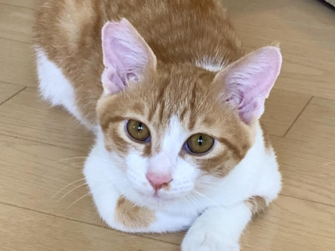 至急❗️性格抜群✨穏やか❤️