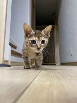 一番小さいけど一番元気