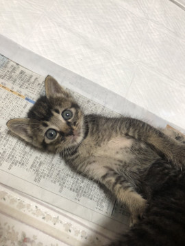 可愛い5兄妹