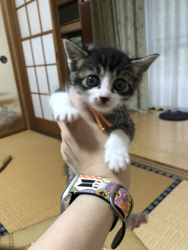 可愛い5兄妹