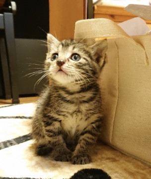 健やか、すずちゃん。
