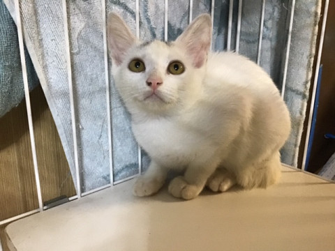 かわいい三姉妹