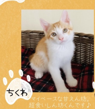 食いしん坊のマイペース男子☆ちくわ君