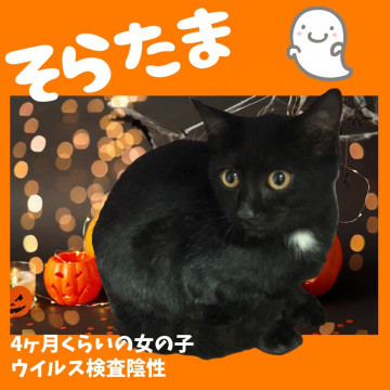 とても人懐っこくて可愛い