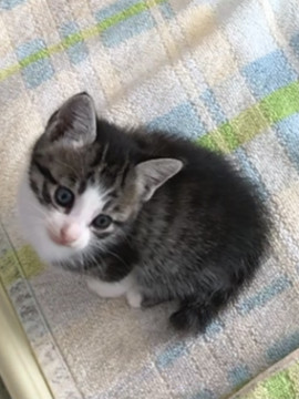 まだアドケナイ男の子☆