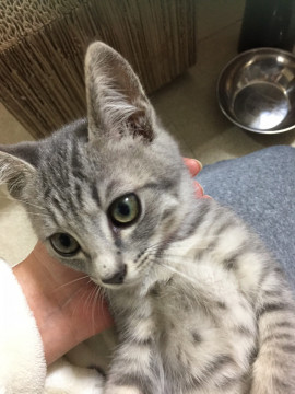 ハンサム顔で性格はルフィな冒険野郎❣️