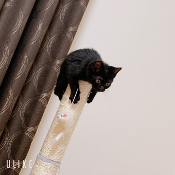 めちゃくちゃ元気!