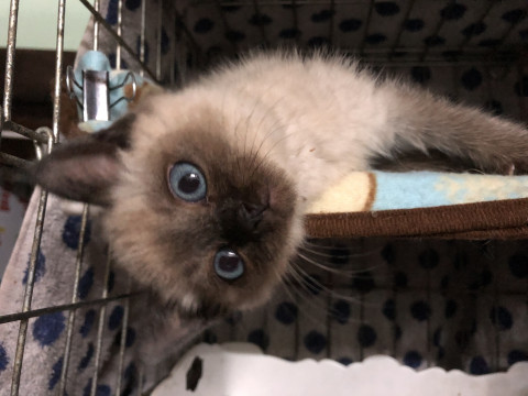 めちゃくちゃ めんこちゃん^ ^