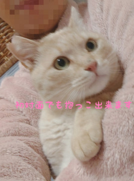 ゴロ♪スリピタッ♡ほっこり穏やか男の子