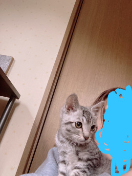 12月17日募集してまーす!