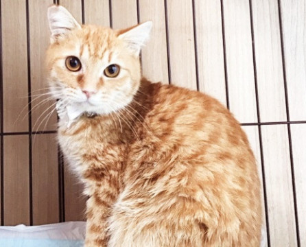 かわいいきょうだい