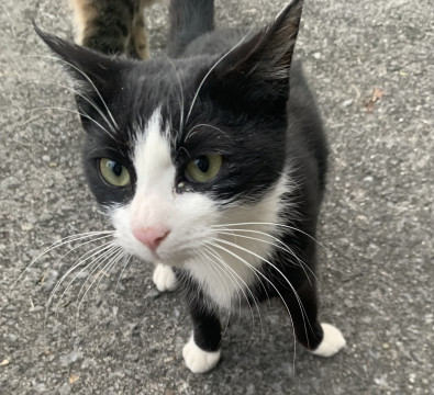 アメリ ✨ただ今、交渉中です✨