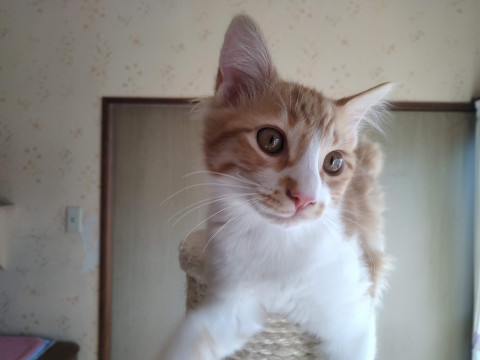 生後3ヶ月の甘えん坊の男の子