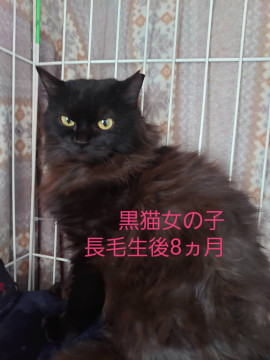 マフラーは自前です✨