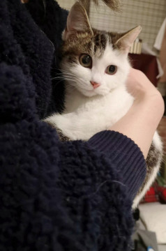 まるこの姉妹のしっぽちゃん♪