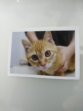 元気で男前のあっちゃん