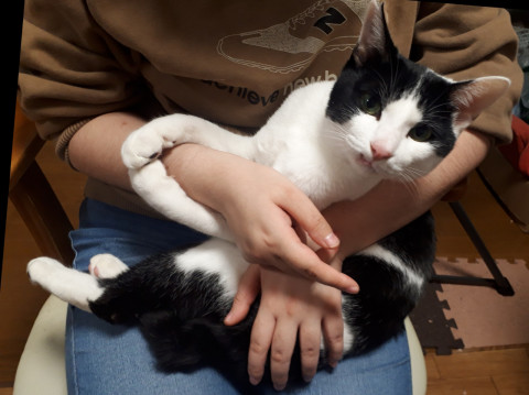 事故から見事復活!白黒ゴロリくん