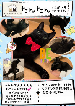 くろねこ兄弟②たんたん