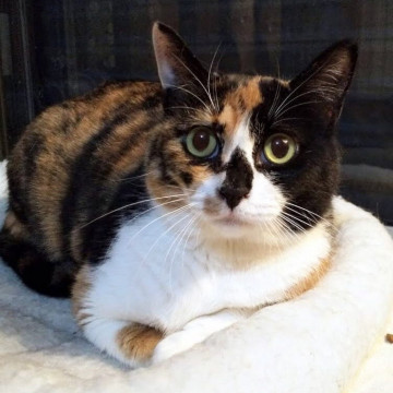 ウイカ☆６歳くらい