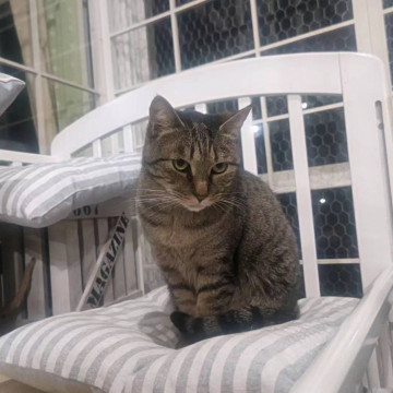 甘えん坊の 杏奈ちゃん