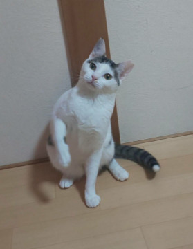 遊ぶのは!大好き(^_^;)